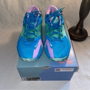 Nike Men's Zoom Freak 4 Basketball Shoes EUC